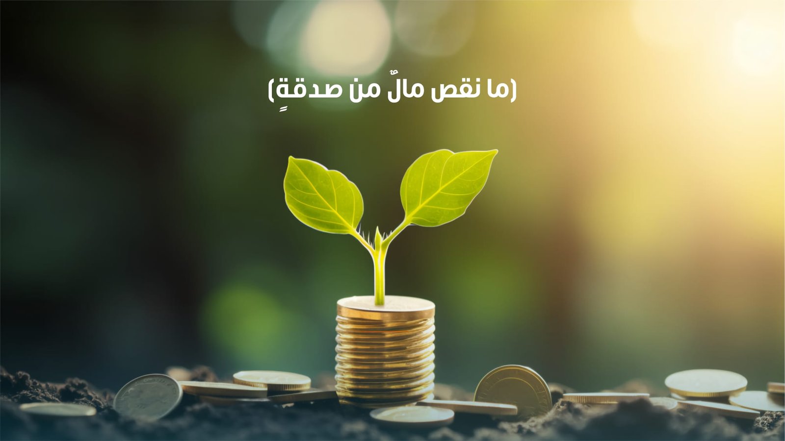 مشروع صدقة